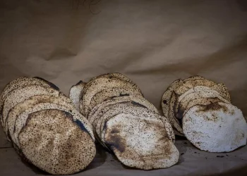 "החג של הצליאקים"? לא ממש: המציאות הקשה של מי שלא יכול לגעת במצה