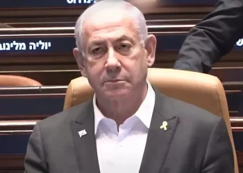 עורך הדין מזהיר: "בג"ץ בדרך להוציא את נתניהו לנבצרות"