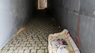 אחד מקודקודי הממשלה: "מוכנים למחירים כבדים עבור החטופים, אבל על זה לא נוותר"