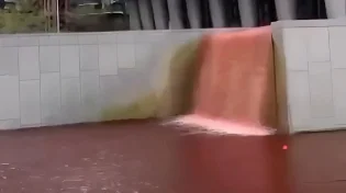 "האגם נצבע באדום - ממש מול שגרירות ארה"ב: מחאת הדם שזעזעה את לונדון"