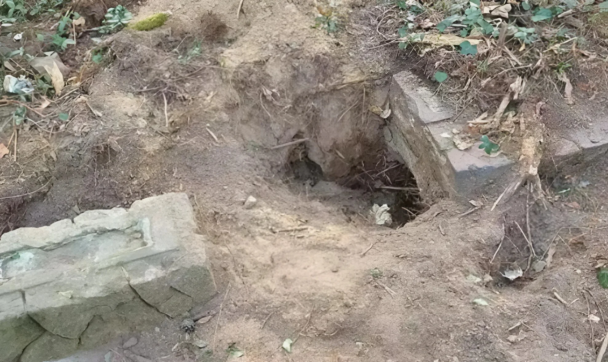 זעזוע בפולין: קברים יהודיים חוללו ונחפרו