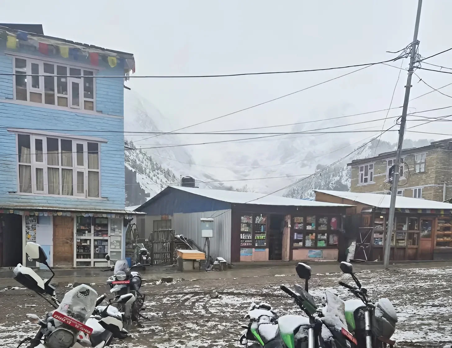 שליחים עם שליחות: פסח של תקווה בלב החשכה העולמית. 