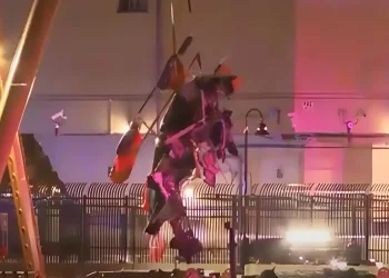 "המסוק התרסק – והמשפחה נעלמה תחת המים": אסון מצמרר בלב מנהטן