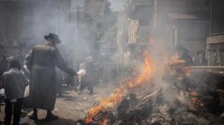 עוד לא שרפתם חמץ? זה הזמן להתעדכן - מדריך פסח תשפ"ה המלא