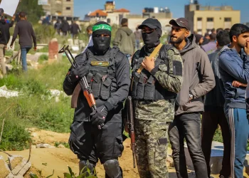 עדות מצמררת מתוך החשיכה: שורדות השבי חושפות – "ראיתי את אמא שלי נכנסת עם מחבל"