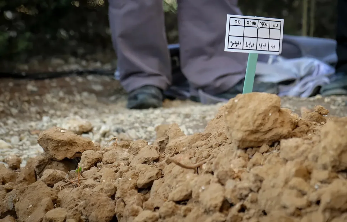 "המסכים נראו לי מתים": מהנדס המחשבים שחזר בתשובה – בזכות מנחם אבלים אחד "המסכים נראו לי מתים": מהנדס המחשבים שחזר בתשובה – בזכות מנחם אבלים אחד
