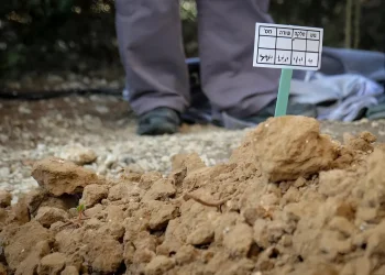"המסכים נראו לי מתים": מהנדס המחשבים שחזר בתשובה – בזכות מנחם אבלים אחד "המסכים נראו לי מתים": מהנדס המחשבים שחזר בתשובה – בזכות מנחם אבלים אחד