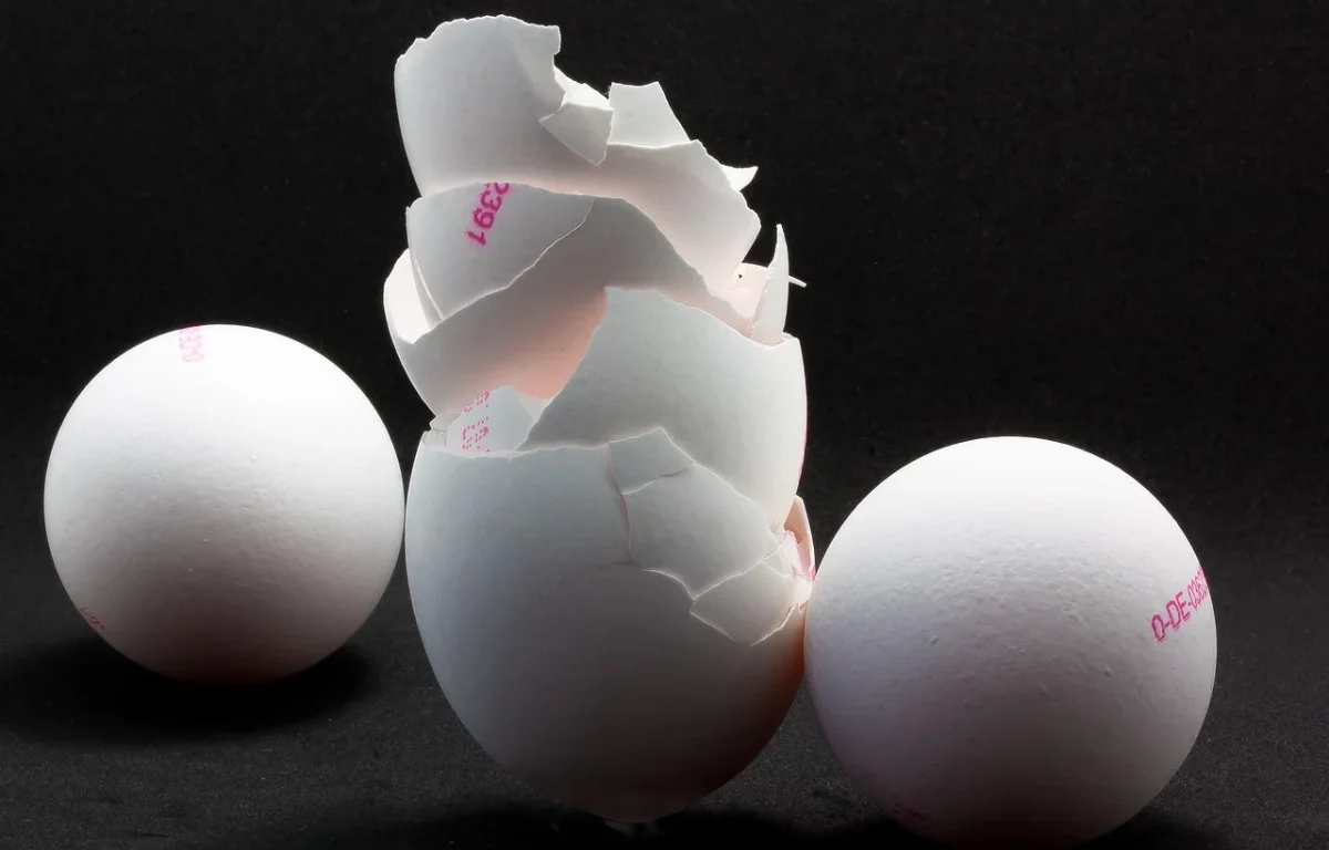 החלק שבדרך כלל נזרק לפח – הפך לסוד בריאותי שכולם מדברים עליו החלק שבדרך כלל נזרק לפח – הפך לסוד בריאותי שכולם מדברים עליו