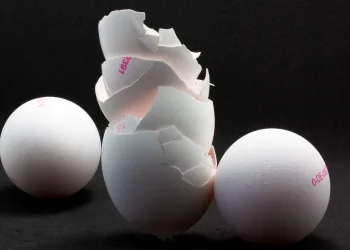 החלק שבדרך כלל נזרק לפח – הפך לסוד בריאותי שכולם מדברים עליו החלק שבדרך כלל נזרק לפח – הפך לסוד בריאותי שכולם מדברים עליו