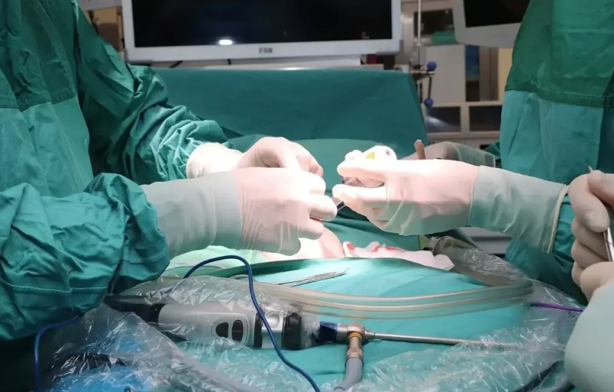 כאבי בטן שגרתיים? הרופאים גילו בגוף הילד תופעה שלא נראתה כמעט מעולם כאבי בטן שגרתיים? הרופאים גילו בגוף הילד תופעה שלא נראתה כמעט מעולם