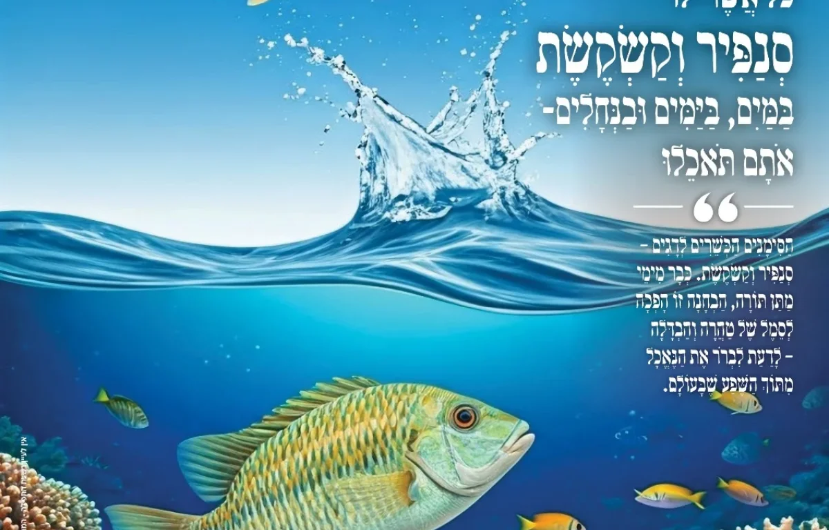 מגזין "מאירים את השבת" - פרשת שמיני מגזין "מאירים את השבת" - פרשת שמיני