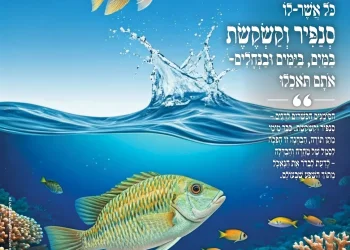 מגזין "מאירים את השבת" - פרשת שמיני מגזין "מאירים את השבת" - פרשת שמיני