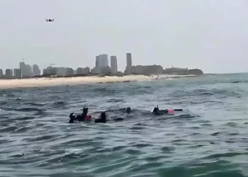 התפתחות דרמטית בחיפושים: נמצאו שרידים בזירת תקיפת הכריש בחדרה