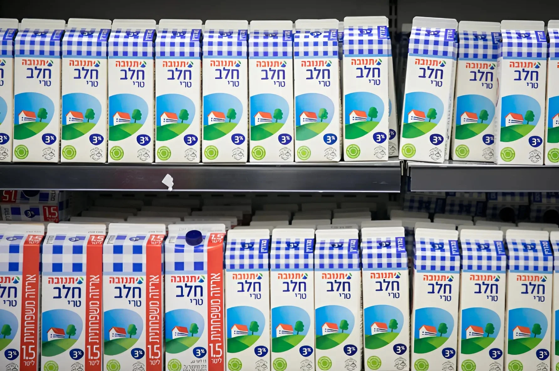 התייקרות נוספת בדרך: מחירי מוצרי החלב המפוקחים יטפסו החל מהשבוע הבא התייקרות נוספת בדרך: מחירי מוצרי החלב המפוקחים יטפסו החל מהשבוע הבא