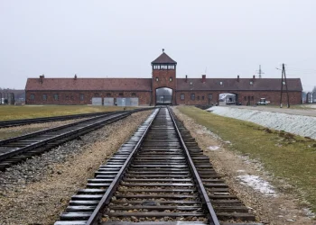 שורדי השבי יצאו עם משלחת ההסתדרות הציונית למצעד החיים בפולין: "מחויבות לחיים" שורדי השבי יצאו עם משלחת ההסתדרות הציונית למצעד החיים בפולין: "מחויבות לחיים"