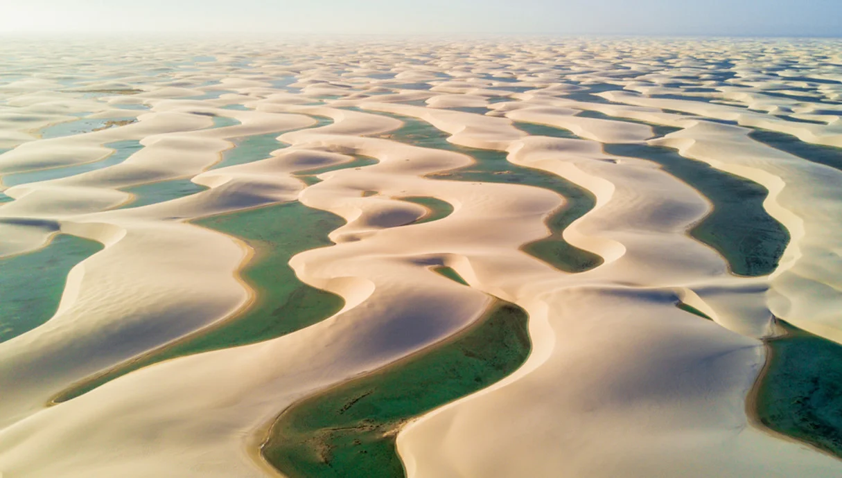 לנסויס: המקום שבו הבריאה לוחשת סוד על הקיום לנסויס: המקום שבו הבריאה לוחשת סוד על הקיום