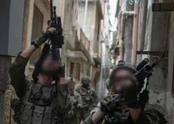 הסלמה במעברים: עלייה חדה באירועי טרור והברחות ביהודה ושומרון