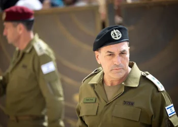 זמיר סתר פומבית את השר כץ, השרים תקפו: "מה אתה שונה מהרצי?"