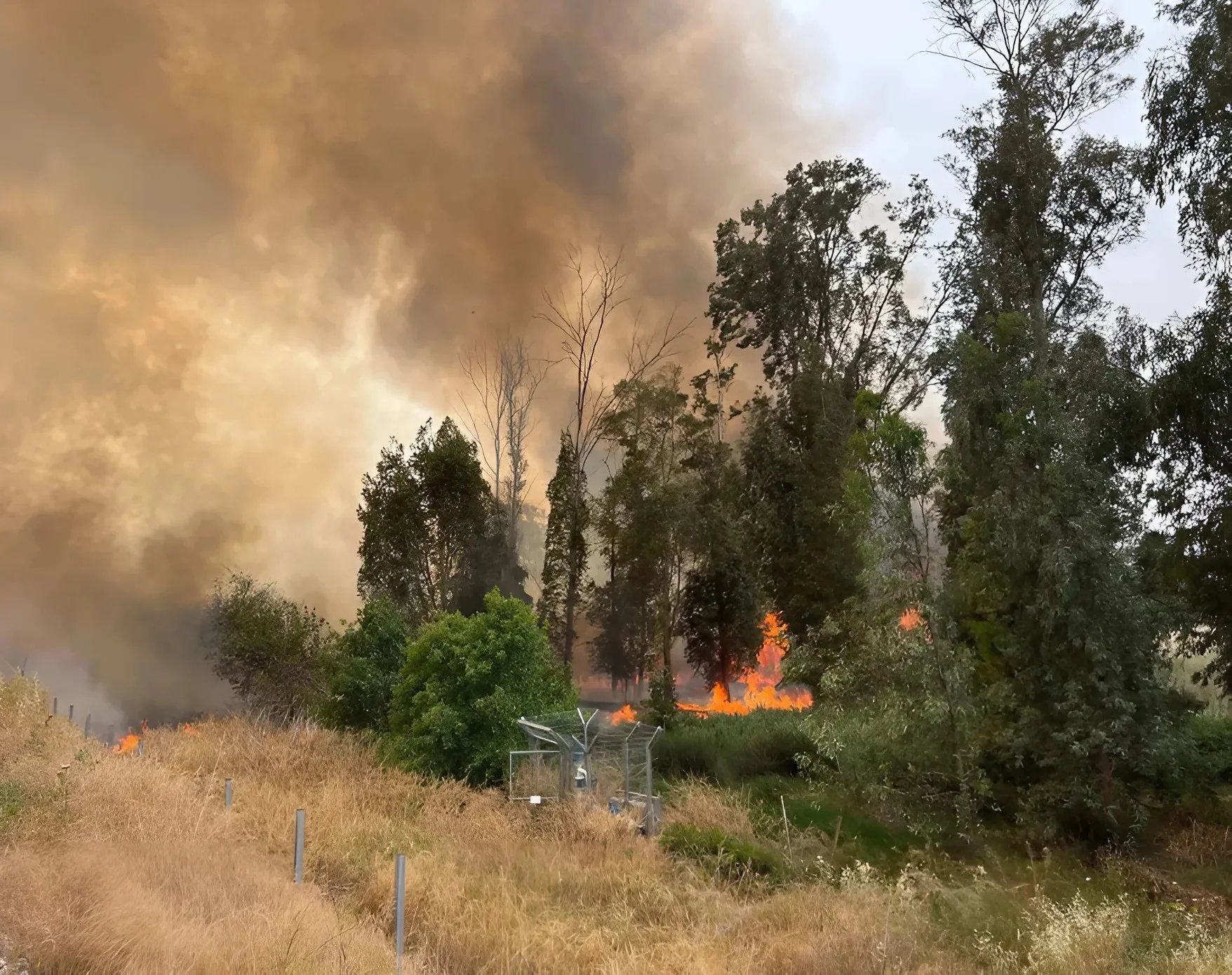 שריפה נרחבת סמוך לכביש 6: הכביש נחסם, הרכבות הופסקו שריפה נרחבת סמוך לכביש 6: הכביש נחסם, הרכבות הופסקו