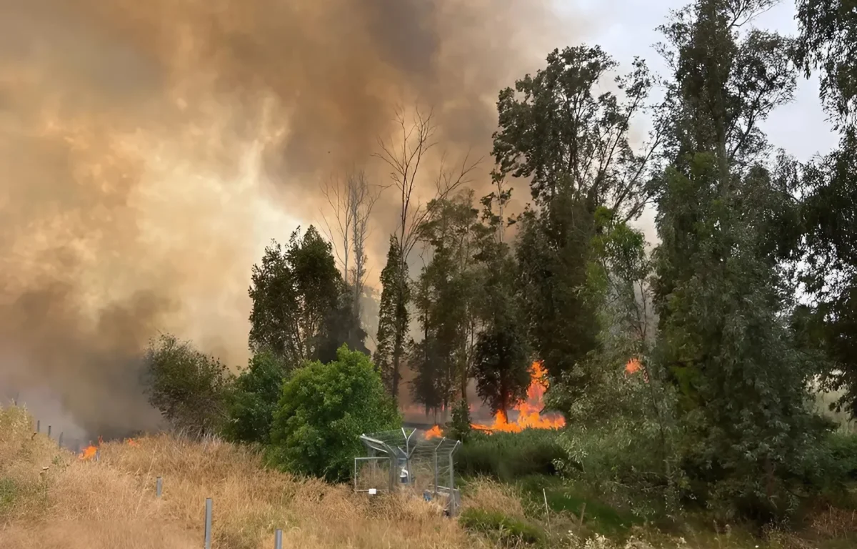 שריפה נרחבת סמוך לכביש 6: הכביש נחסם, הרכבות הופסקו