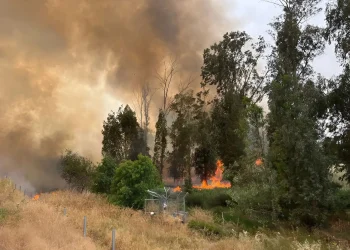 שריפה נרחבת סמוך לכביש 6: הכביש נחסם, הרכבות הופסקו