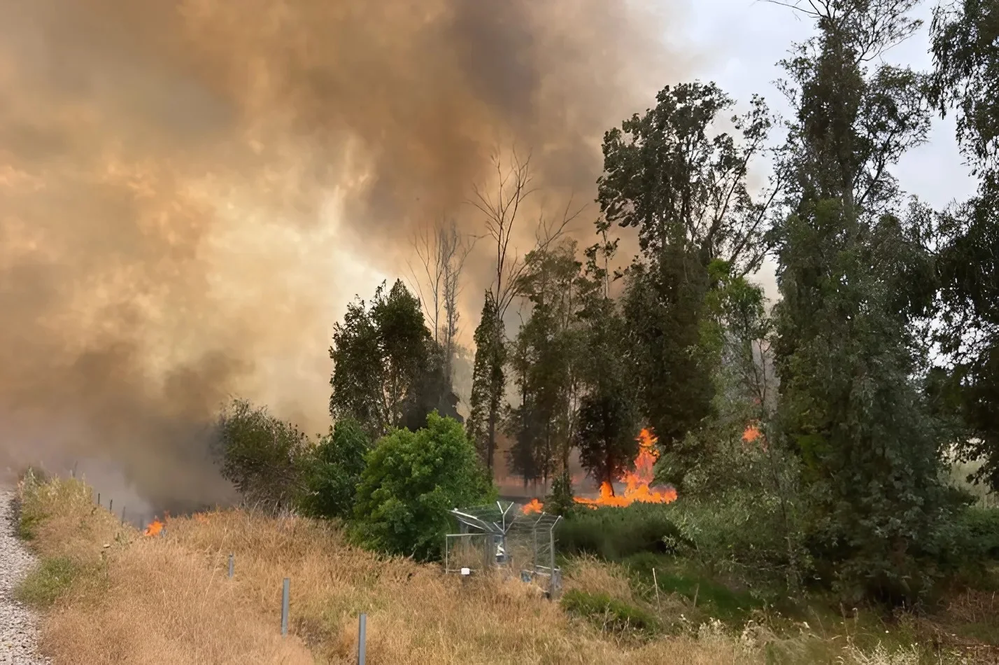 האש מתפשטת: כביש 38 נסגר – יישובים פונו, כוחות כיבוי נלחמים בלהבות