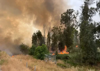 האש מתפשטת: כביש 38 נסגר – יישובים פונו, כוחות כיבוי נלחמים בלהבות