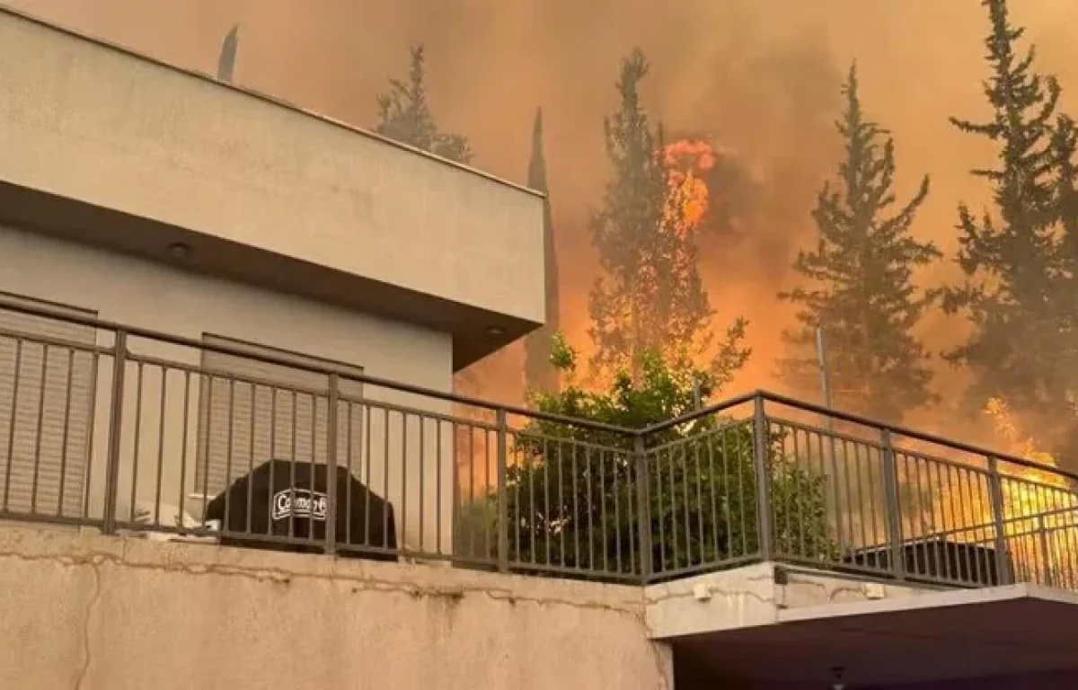 השריפה עדיין משתוללת: 71 צוותים ממשיכים להיאבק באש &ndash; יותר מ־10,000 דונם נשרפו