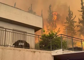 השריפה עדיין משתוללת: 71 צוותים ממשיכים להיאבק באש &ndash; יותר מ־10,000 דונם נשרפו