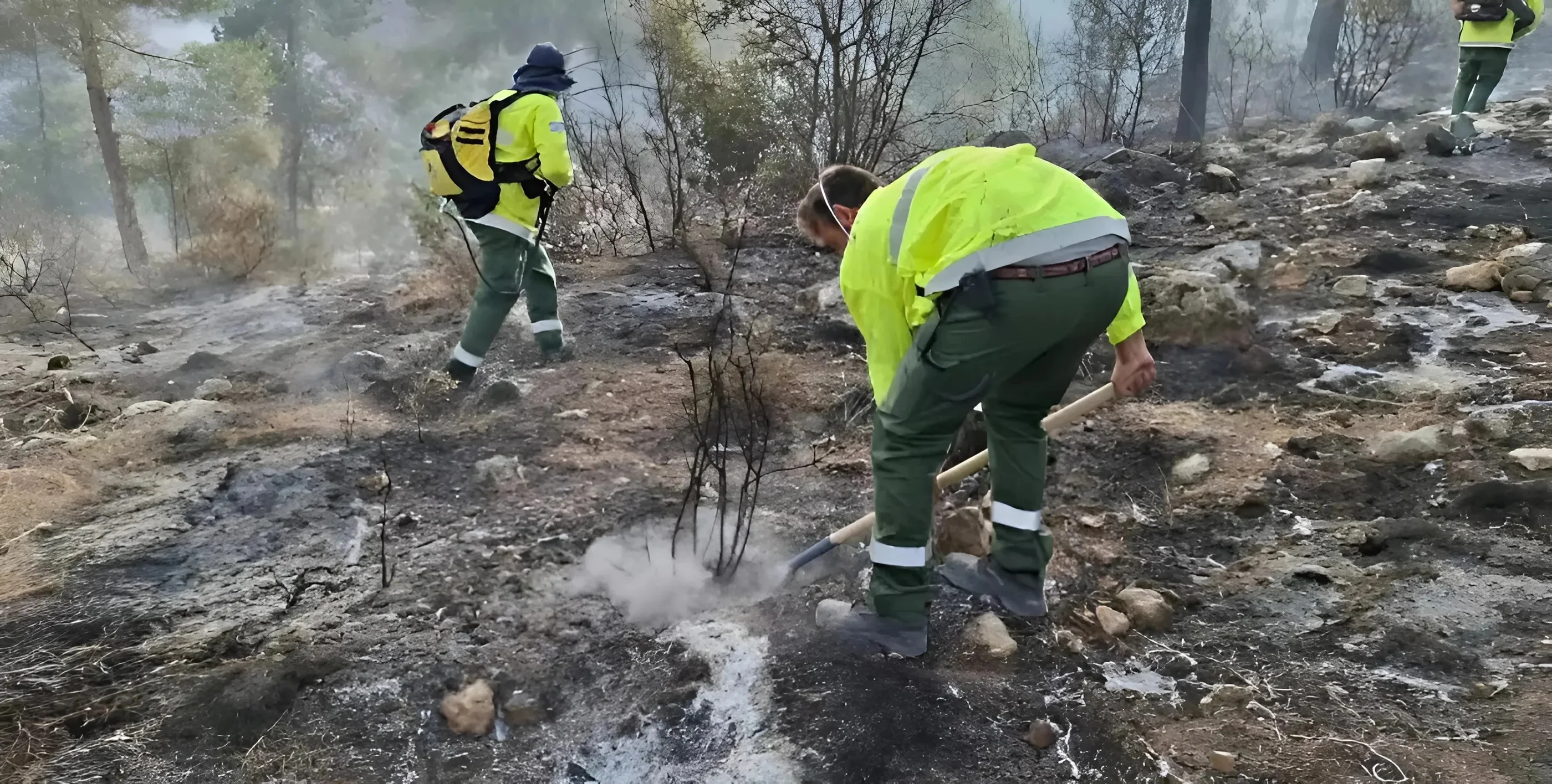 מראה עצוב: בעקבות השריפות - עשרות אלפי דונמים של חורש טבעי עלו באש