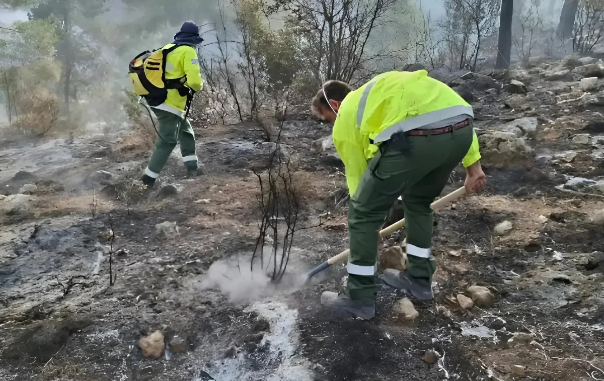מראה עצוב: בעקבות השריפות - עשרות אלפי דונמים של חורש טבעי עלו באש מראה עצוב: בעקבות השריפות - עשרות אלפי דונמים של חורש טבעי עלו באש