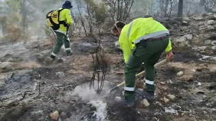 מראה עצוב: בעקבות השריפות - עשרות אלפי דונמים של חורש טבעי עלו באש