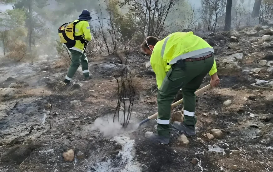 מראה עצוב: בעקבות השריפות - עשרות אלפי דונמים של חורש טבעי עלו באש מראה עצוב: בעקבות השריפות - עשרות אלפי דונמים של חורש טבעי עלו באש