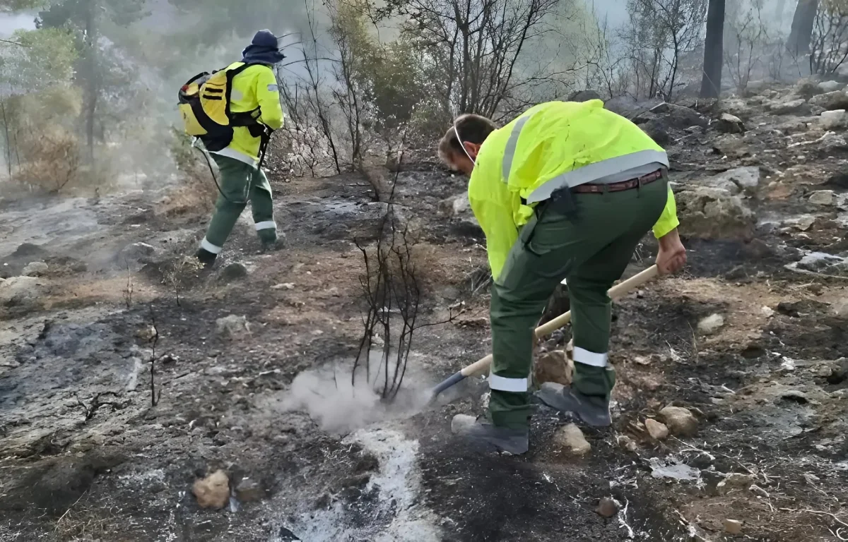 מראה עצוב: בעקבות השריפות - עשרות אלפי דונמים של חורש טבעי עלו באש