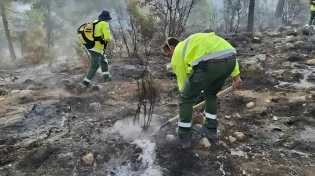 מראה עצוב: בעקבות השריפות - עשרות אלפי דונמים של חורש טבעי עלו באש
