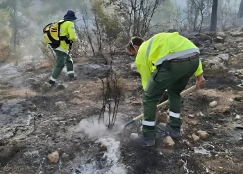 מראה עצוב: בעקבות השריפות - עשרות אלפי דונמים של חורש טבעי עלו באש