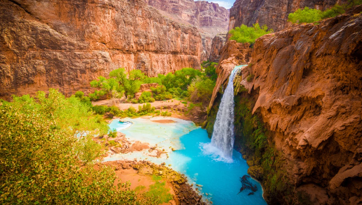מים חיים בלב המדבר: פלא הבריאה במפלי הוואסו שבגרנד קניון