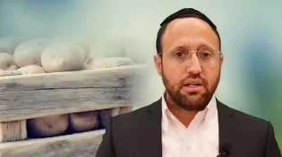 "תפוחי אדמה על עגלה קופצנית לימדו אותי איך להישאר למעלה": הסיפור של הרב יואב בן חיים