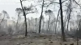 "התעוררנו לבוקר שאי אפשר לשכוח": תיעוד מצמרר מההרס ביער אשתאול