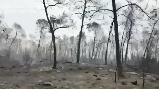 "התעוררנו לבוקר שאי אפשר לשכוח": תיעוד מצמרר מההרס ביער אשתאול