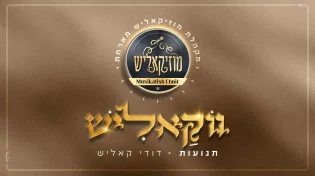 מקהלת מוזיקאליש מארחת את דודי קאליש "תנועות"
