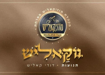 דודי קאליש - "תנועות"