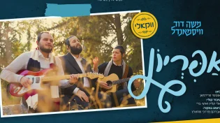 משה דוד וייסמנדל מגיש גרסה ווקאלית מרגשת לקאבר של "אפריון"