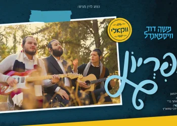 ווקאלי: משה דוד וייסמנדל - "אפריון"