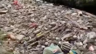 מפתיע: כך הפכו 2,000 שקיות פלסטיק לכיסא מעוצב שלא תאמינו איך הוא נראה