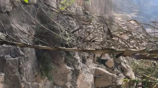 נחשפה הסיבה לשריפה בנחל פרת: רשלנות של קבוצת מטיילים