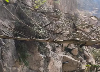 נחשפה הסיבה לשריפה בנחל פרת: רשלנות של קבוצת מטיילים