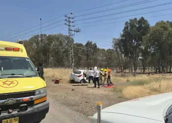 תאונה קטלנית ברמת הגולן: בת 50 נהרגה