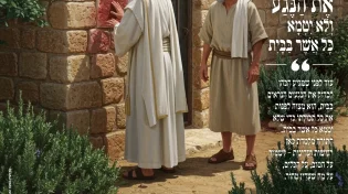 מגזין "מאירים את השבת" - פרשת תזריע-מצורע