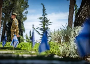 יום הזיכרון תשפ"ה: מתי יישמעו הצפירות והיכן ייערכו הטקסים המרכזיים? יום הזיכרון תשפ"ה: מתי יישמעו הצפירות והיכן ייערכו הטקסים המרכזיים?